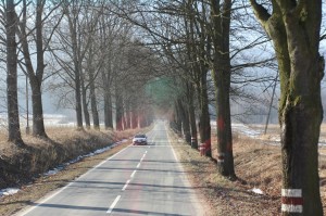 2015-02-17 wt fot.P.Stefański 116