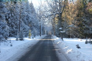 2015-02-17 wt fot.P.Stefański 124