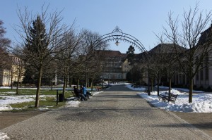 2015-02-17 wt fot.P.Stefański 189