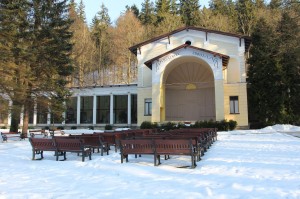 2015-02-17 wt fot.P.Stefański 276