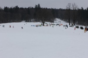 2015-02-18 śr fot.P.Stefański 060