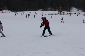 2015-02-18 śr fot.P.Stefański 082