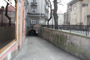 2015-02-19 cz fot.P.Stefański 081