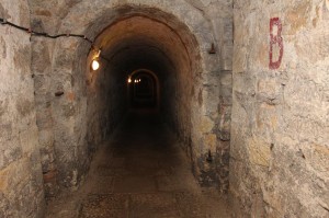 2015-02-19 cz fot.P.Stefański 134