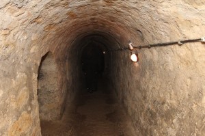 2015-02-19 cz fot.P.Stefański 139