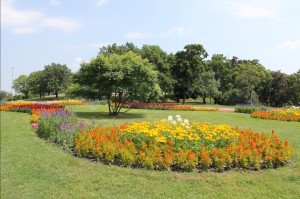 2015-07-01 śr fot.P.Stefański 049