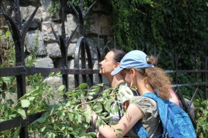 2015-07-01 śr fot.P.Stefański 059