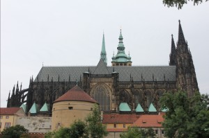 2015-08-19 śr fot.P.Stefański 036