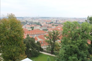 2015-08-19 śr fot.P.Stefański 118