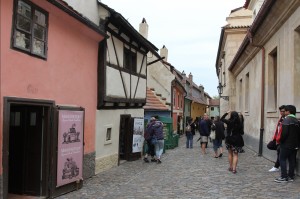 2015-08-19 śr fot.P.Stefański 143