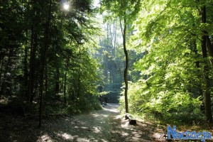 2015-10-03 sb fot.P.Stefański 042