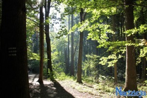 2015-10-03 sb fot.P.Stefański 043