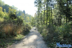 2015-10-03 sb fot.P.Stefański 052