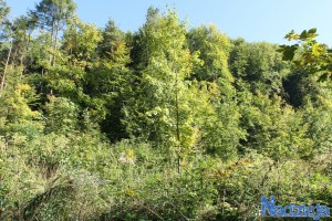 2015-10-03 sb fot.P.Stefański 055