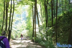 2015-10-03 sb fot.P.Stefański 057