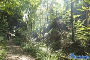 2015-10-03 sb fot.P.Stefański 066