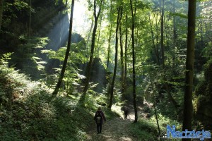 2015-10-03 sb fot.P.Stefański 067