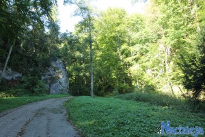 2015-10-03 sb fot.P.Stefański 081