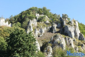 2015-10-03 sb fot.P.Stefański 113