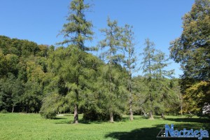 2015-10-03 sb fot.P.Stefański 117