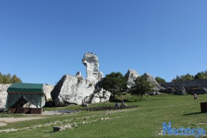 2015-10-03 sb fot.P.Stefański 187