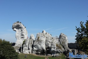 2015-10-03 sb fot.P.Stefański 210