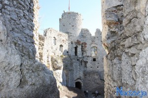 2015-10-03 sb fot.P.Stefański 251