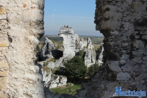 2015-10-03 sb fot.P.Stefański 276