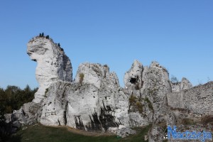 2015-10-03 sb fot.P.Stefański 426