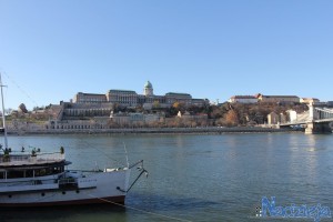 2015-11-29 nd fot.P.Stefański 003