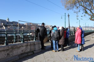 2015-11-29 nd fot.P.Stefański 006