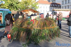 2015-11-29 nd fot.P.Stefański 018