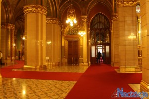 2015-11-30 pn fot.P.Stefański 016