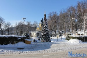 2016-01-17 nd fot.P.Stefański 005