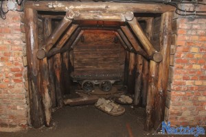2016-01-19 wt fot.P.Stefański 094