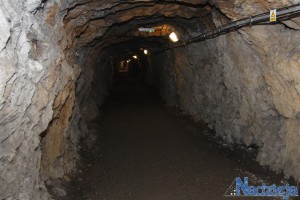 2016-01-19 wt fot.P.Stefański 133