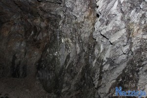 2016-01-19 wt fot.P.Stefański 134