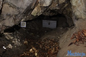 2016-01-19 wt fot.P.Stefański 135