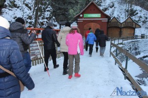 2016-01-19 wt fot.P.Stefański 136