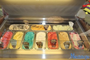 2016-01-22 pt fot.P.Stefański 068