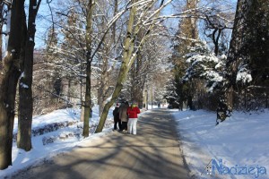 2016-01-22 pt fot.P.Stefański 083