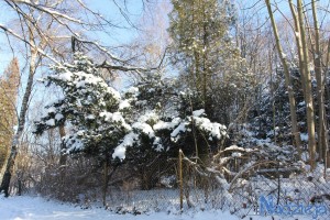 2016-01-22 pt fot.P.Stefański 085
