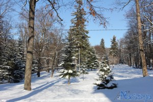 2016-01-22 pt fot.P.Stefański 099