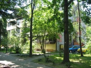 06 05 czw 003