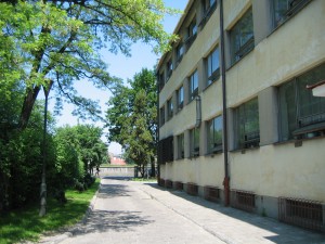 06 05 czw 023