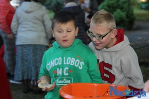 2016-09-27-wt-fot-p-stefanski-187-kopiowanie