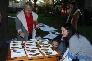 2016-09-27-wt-fot-p-stefanski-295-kopiowanie